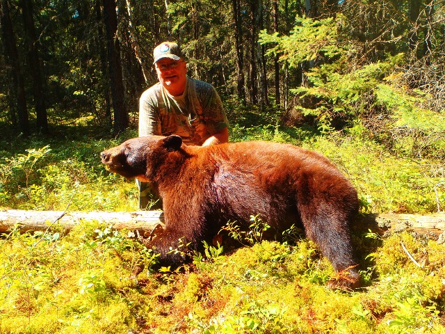 Brown Bear, Bear Hunting