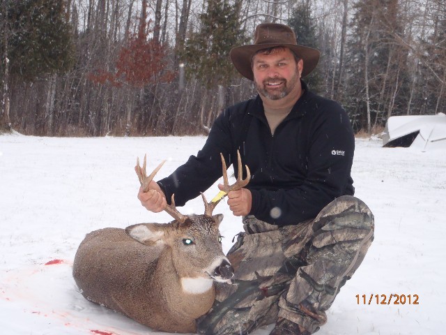 Deer Hunt in Snow