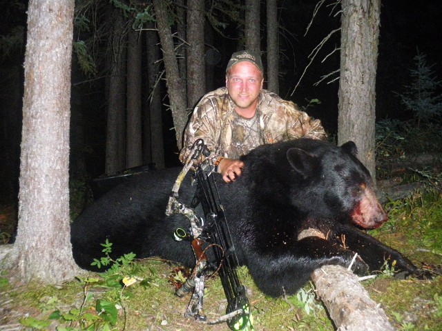 Black Bear