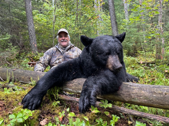 Bear Hunting