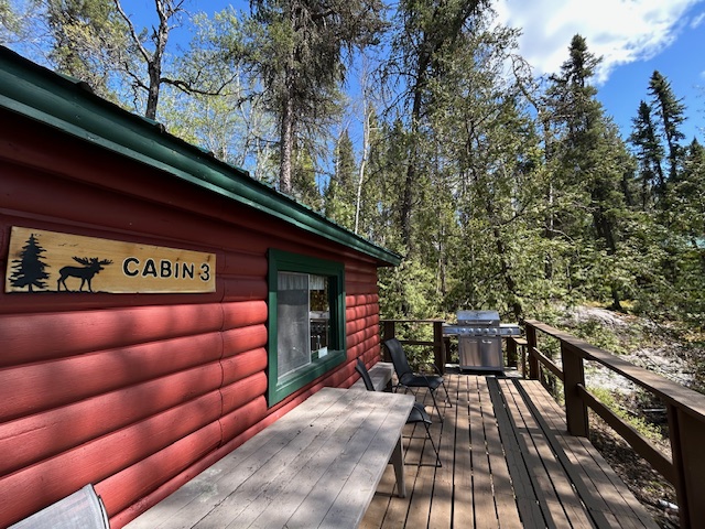 Cabin 3